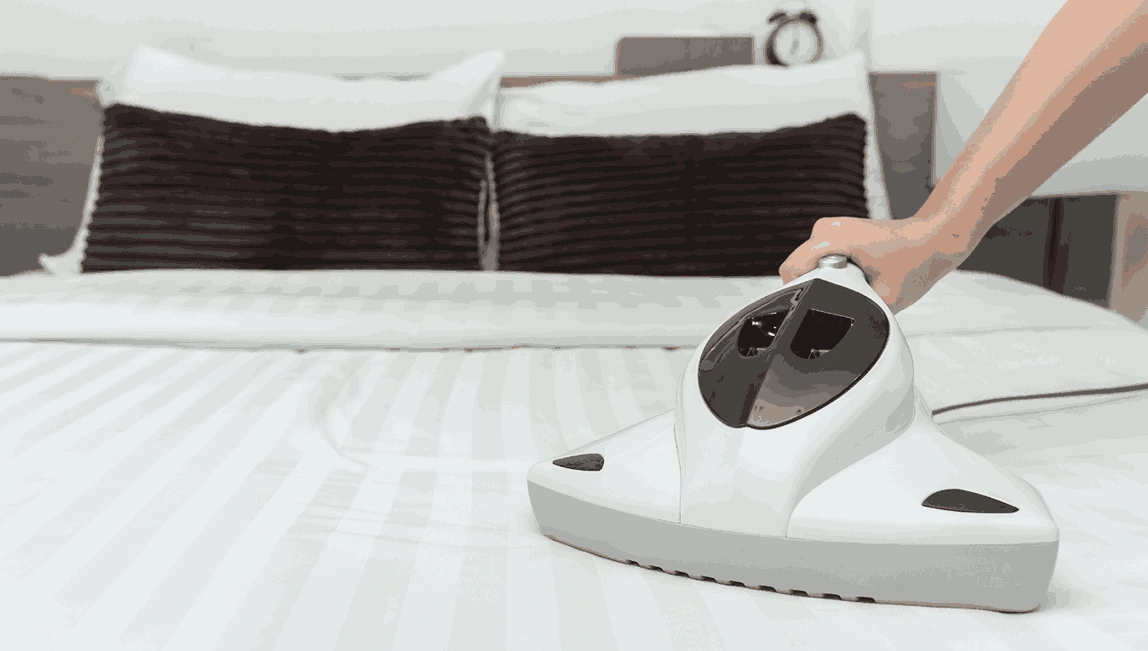 Professional Mattress Cleaning Kings Park
